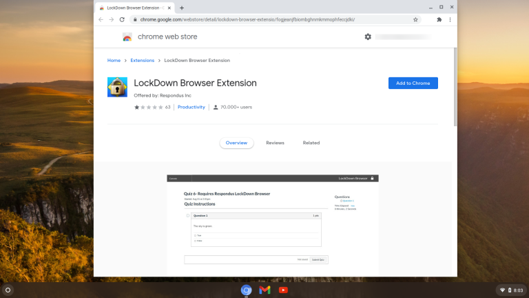 lockdown browser for chromebook